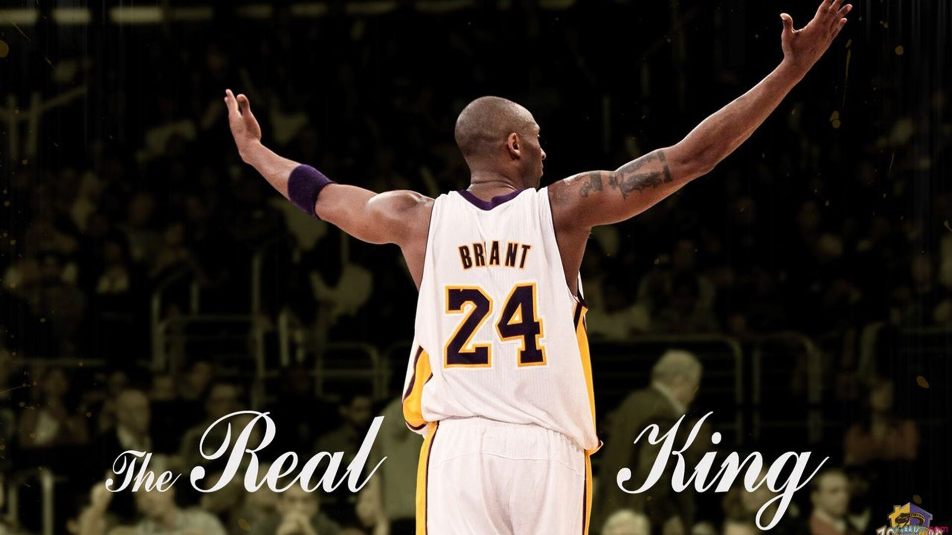 上海久事篮球俱乐部大调整 新任总经理明确重建计划，上海久事篮球老板